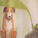 Image for article titled 29 books to read your kids if you want them to be kind and brave